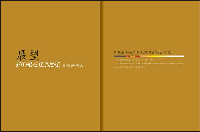 凌凯集团_案例
