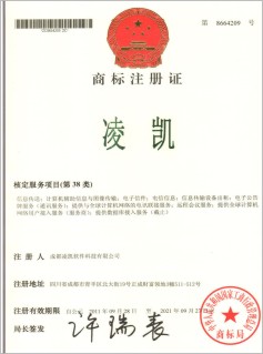 核定服务项目(第38项类)