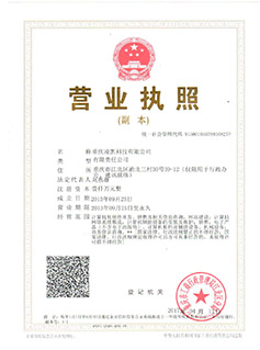 重庆凌凯资质